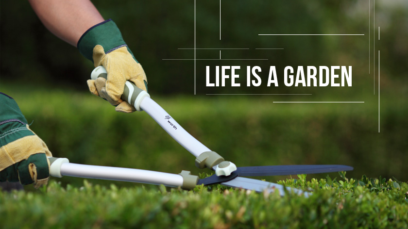 上海沃施园艺股份有限公司