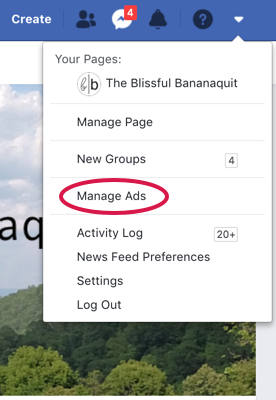 创建Facebook广告的屏幕截图