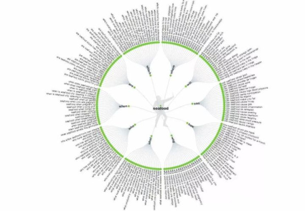 Answer The Public搜索结果