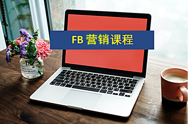 Facebook营销系列微课，“0元”送！